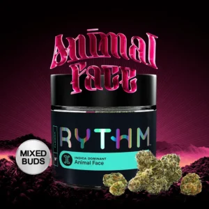 RYTHM  Animal Face in Bethesda 14g Indica