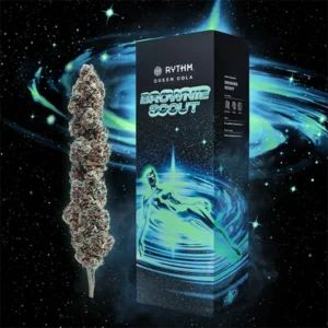 Rythm Queen Cola Brownie Scout 14g