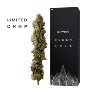Rythm Queen Cola Limited Edition Sunset Serbet 14g