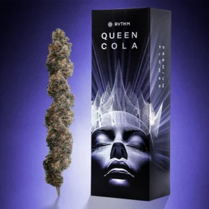 Rythm Queen Cola Premium Flower 14g